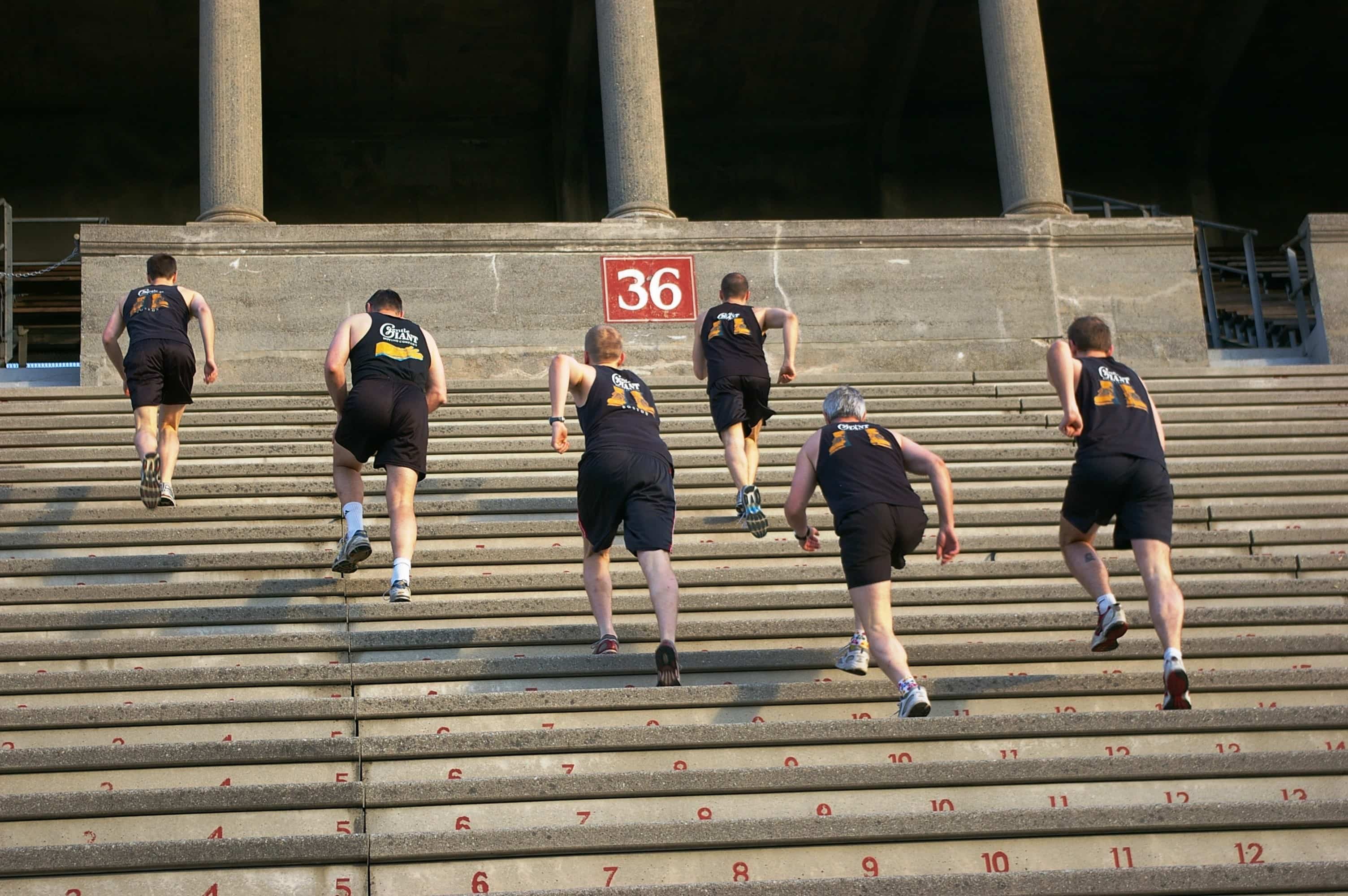 An Ode to Harvard Stadium