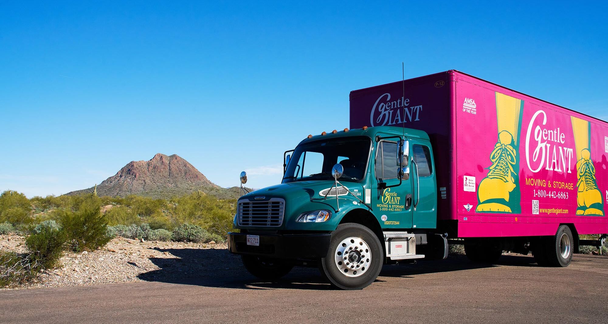 Just Moved to Phoenix? Here Are the First 5 Things You Should Do