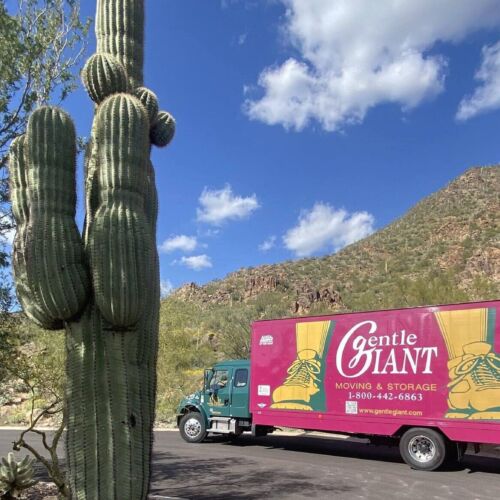 The purple Gentle Giant moving truck is parked at the bottom of Camelback Mountain in Phoenix, Arizona.