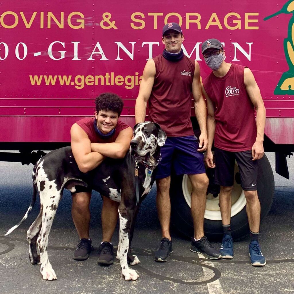 How do I prepare my pet for a long-distance move?