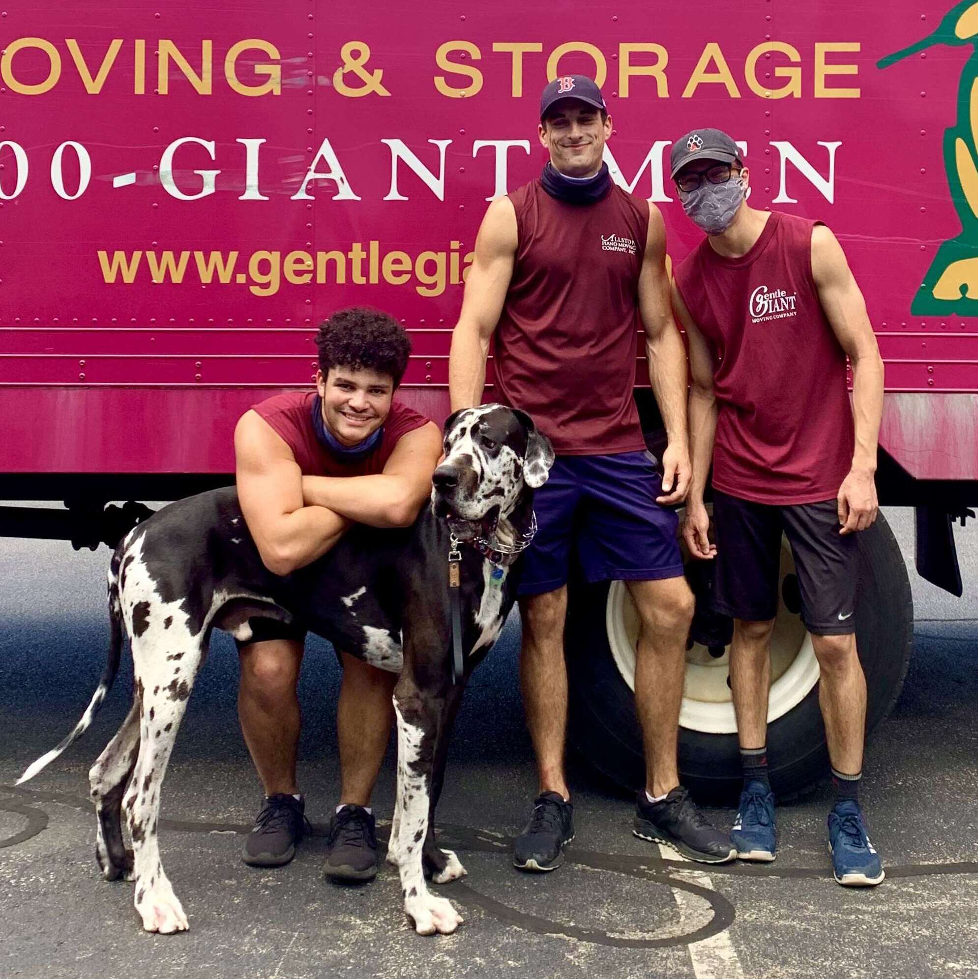 How do I prepare my pet for a long-distance move?